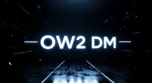 OW2 DM
